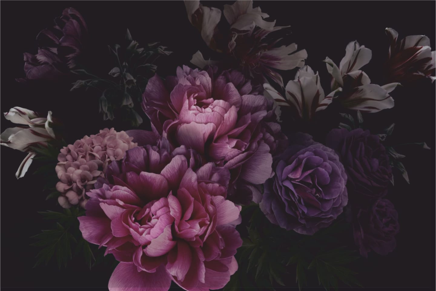 Peonies in full bloom – Blütenwerk flower shop in 4240 Freistadt, Austria